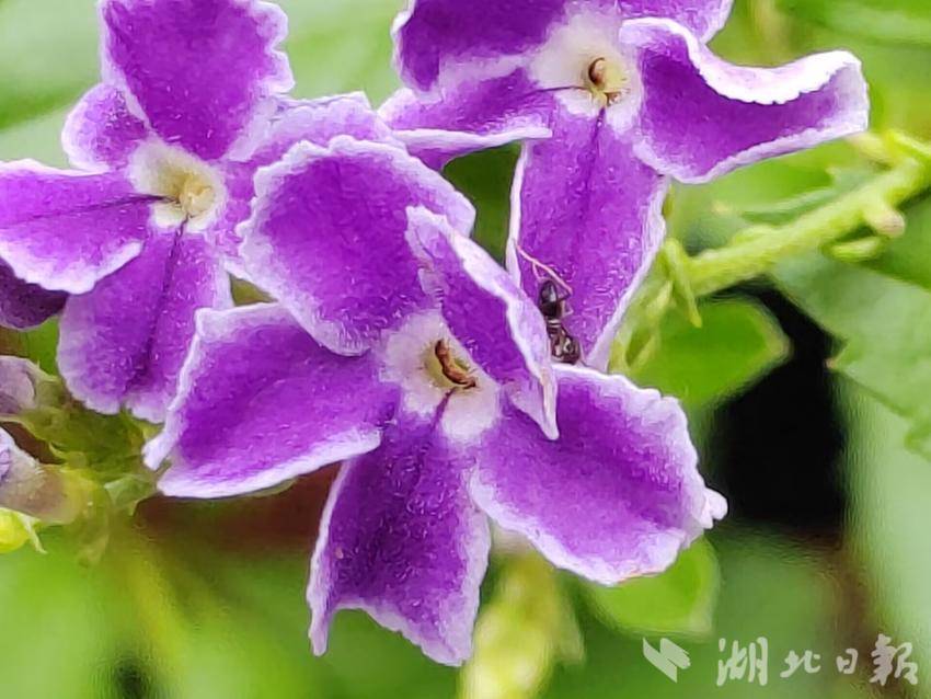 开户送体验金58元可提款